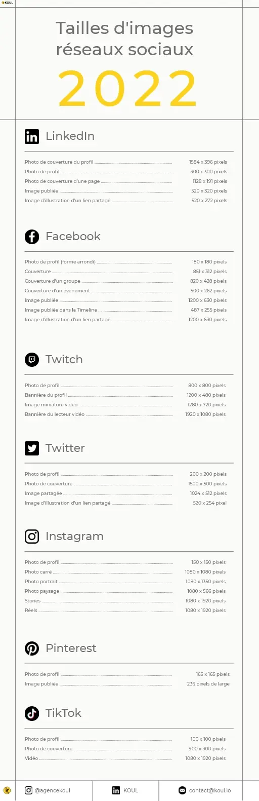 infographie des dimensions visuels réseaux sociaux 2022