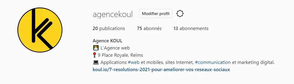 réaliser une bio instagram professionnelle